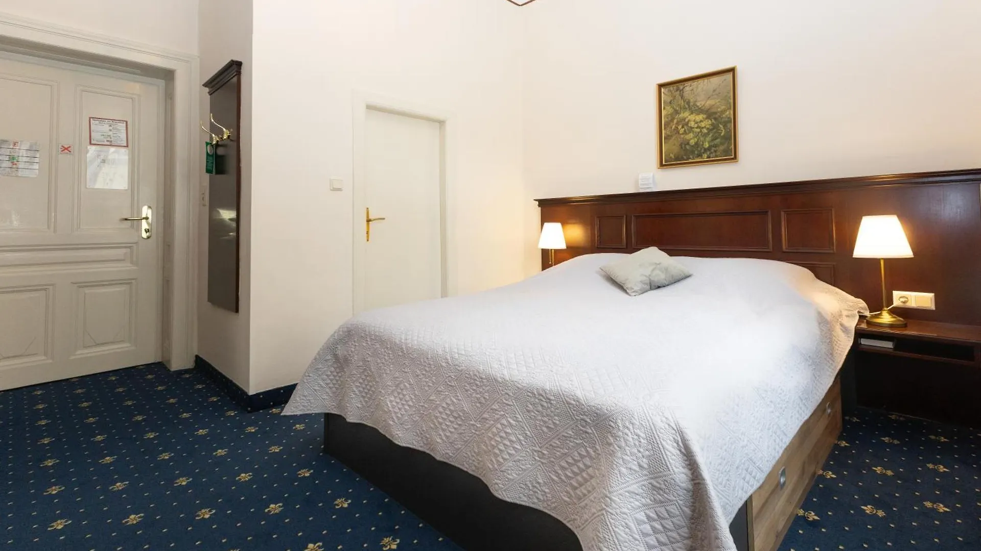 Hotel Viktoria Schoenbrunn Vídeň 3*,